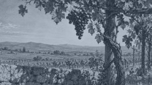 El águila y la zorra — La zorra y las uvas, ilustración de la colección Clásicos