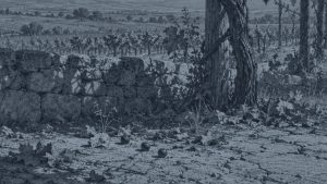 El buey y el mosquito — La zorra y las uvas, ilustración de la colección Clásicos