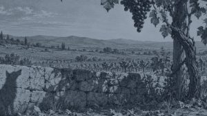 El buey y la becerra — La zorra y las uvas, ilustración de la colección Clásicos