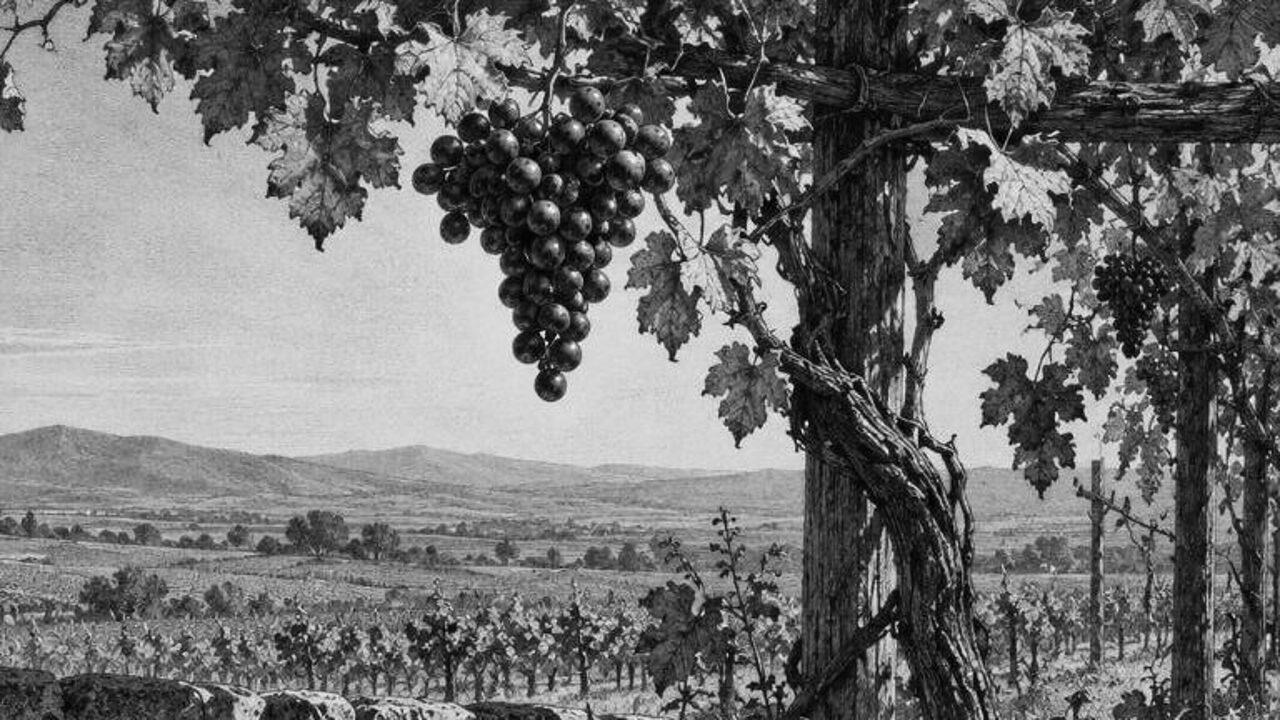 El ciervo, el manantial y el león — La zorra y las uvas, ilustración de la colección Clásicos