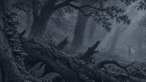 El duende de la tienda — El bosque de los cuentos, ilustración de la colección Clásicos