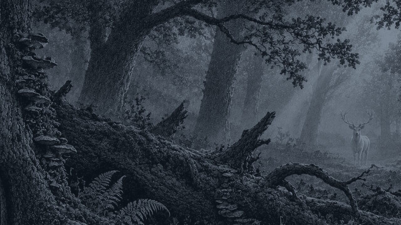 El duende de la tienda — El bosque de los cuentos, ilustración de la colección Clásicos