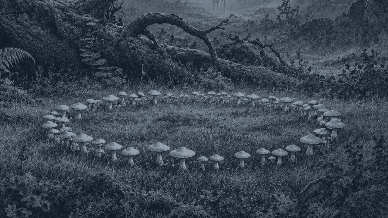 El gollete de botella — El bosque de los cuentos, ilustración de la colección Clásicos