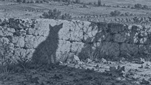 El león y el asno — La zorra y las uvas, ilustración de la colección Clásicos