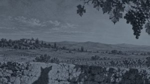 El león y el bueyero — La zorra y las uvas, ilustración de la colección Clásicos