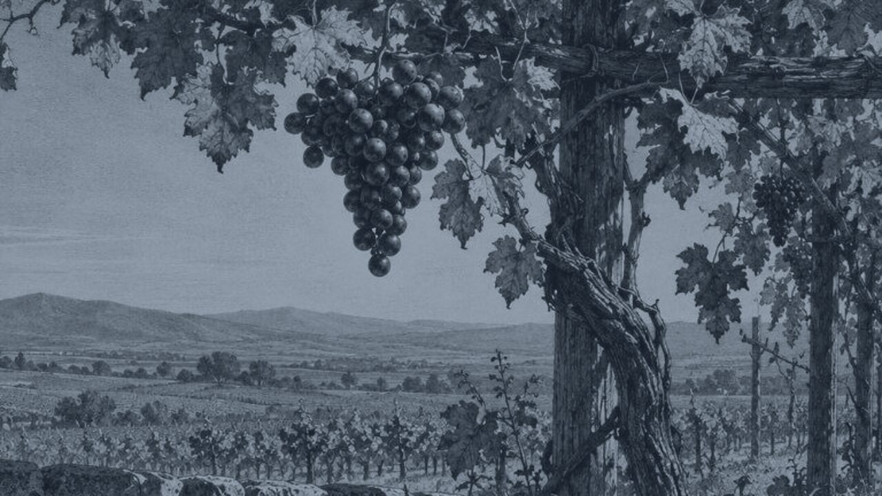El lobo y el cordero en el templo — La zorra y las uvas, ilustración de la colección Clásicos