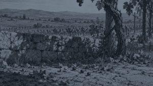 El tordo — La zorra y las uvas, ilustración de la colección Clásicos