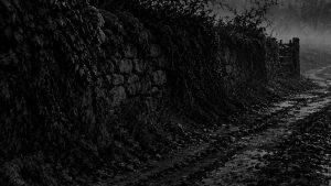 Favores que matan — Noche cerrada, ilustración de la colección Clásicos