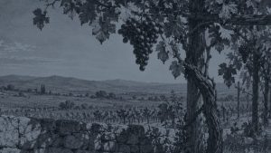 La alondra — La zorra y las uvas, ilustración de la colección Clásicos