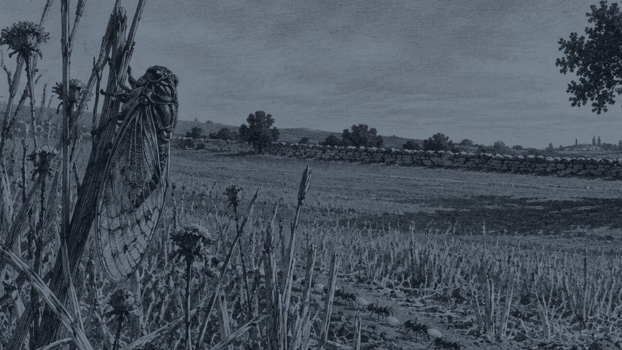 La Golondrina y los Pajaritos — La cigarra y la hormiga, ilustración de la colección Clásicos