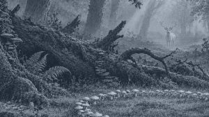 La llave de la casa — El bosque de los cuentos, ilustración de la colección Clásicos