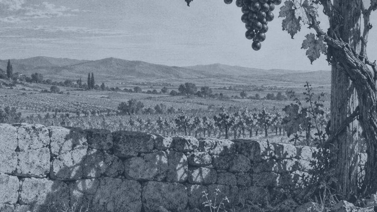 La mosca — La zorra y las uvas, ilustración de la colección Clásicos
