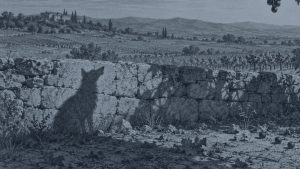 La rana gritona y el león — La zorra y las uvas, ilustración de la colección Clásicos