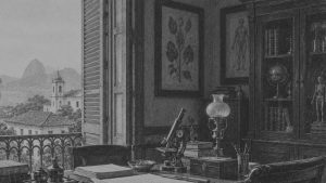 La Serenísima República — El alienista, ilustración de la colección Clásicos