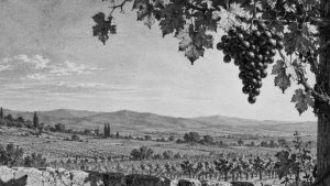 La zorra con el rabo cortado — La zorra y las uvas, ilustración de la colección Clásicos