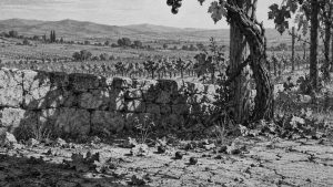 La zorra y el cocodrilo — La zorra y las uvas, ilustración de la colección Clásicos