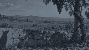 La zorra y el cuervo gritón — La zorra y las uvas, ilustración de la colección Clásicos