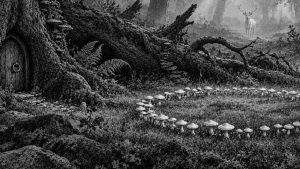 Los fuegos fatuos — El bosque de los cuentos, ilustración de la colección Clásicos