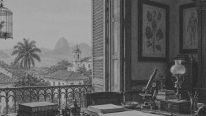 Una noche de almirante — El alienista, ilustración de la colección Clásicos