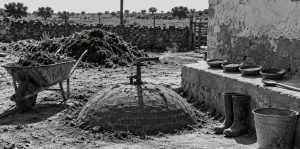 Mitad y mitad — Herencia, cenizas y silencio: la cúpula del digestor en el corral y los cuatro platos en fila