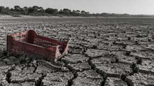 Un planeta vivo, no un recurso
